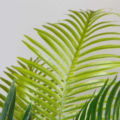 Artificial Areca Plant