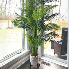 Artificial Areca Plant