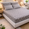 Grey Star Cotton 200 TC Bedsheet + 4 Pillow Covers