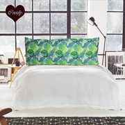 BioGreen - Coozly Lumbar Pillow