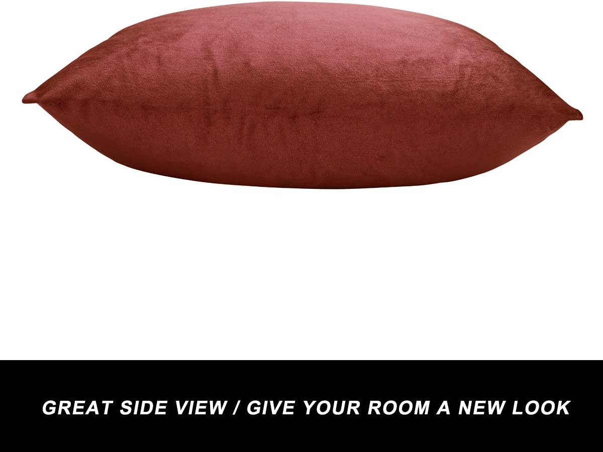 Maroon Premium Velvet Cushion Set - Pack of 2