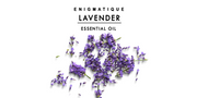 Enigmatique X Coozly Pure Lavender Essential Oil