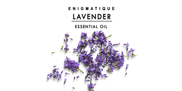 Enigmatique X Coozly Pure Lavender Essential Oil