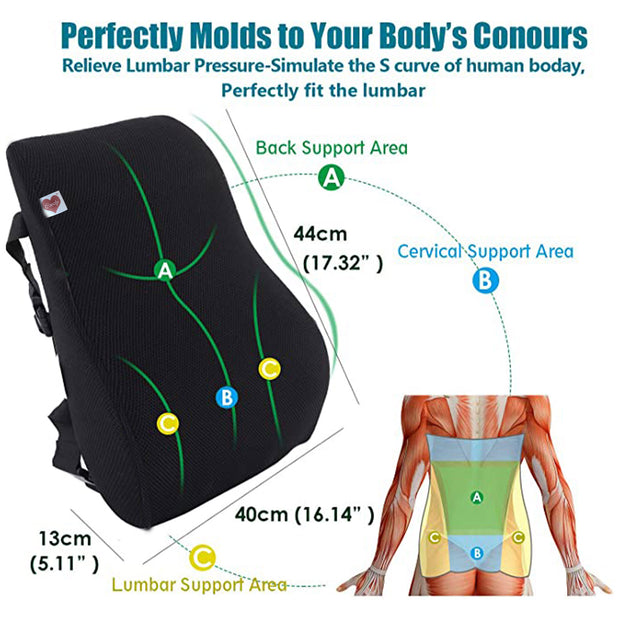 Coccyx And Full Lumbar Combo Set Orthopedic Seat Cushions for Relief from Lower Back, Sciatica, Tailbone, Lumbar Pain