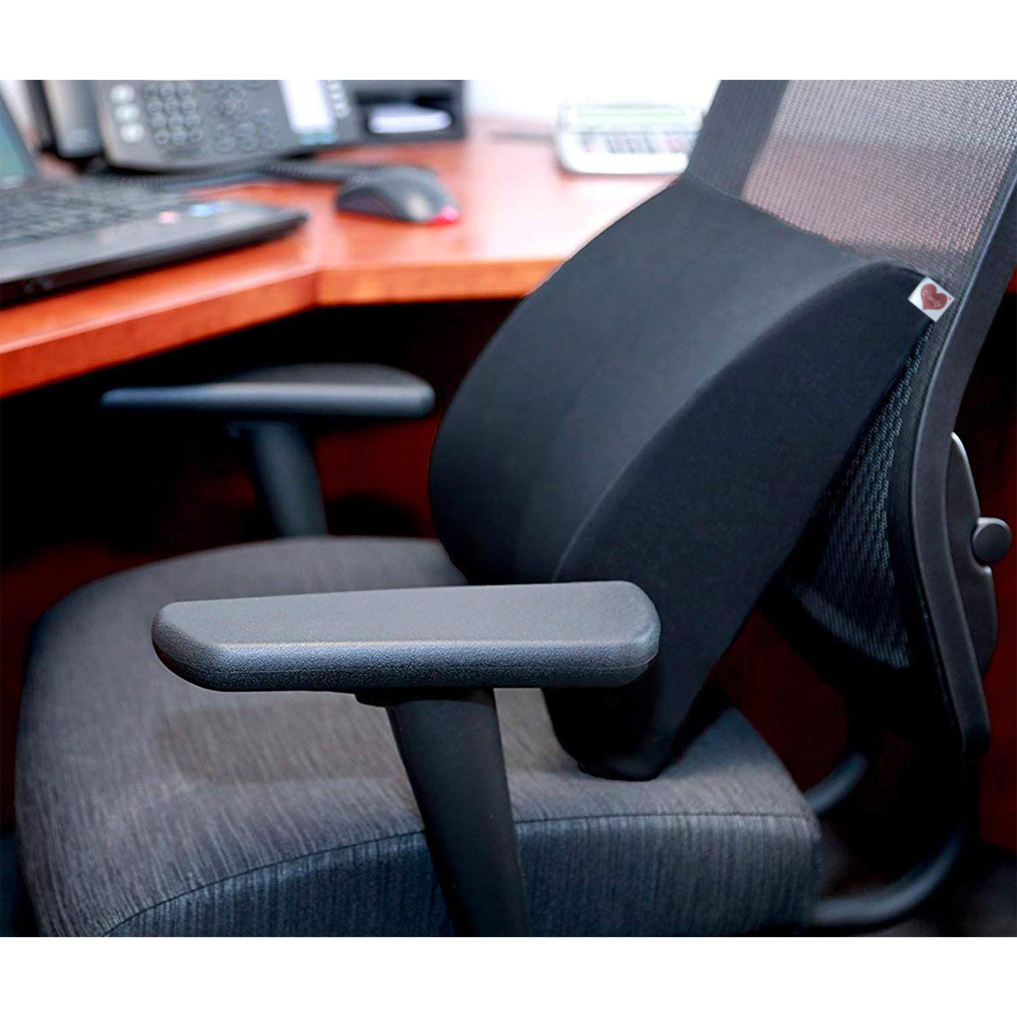 Coozly Orthopedic Half Lumbar Support | High Density Supportive Memory Foam Backrest Cushion